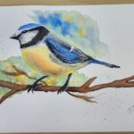 Blue tit